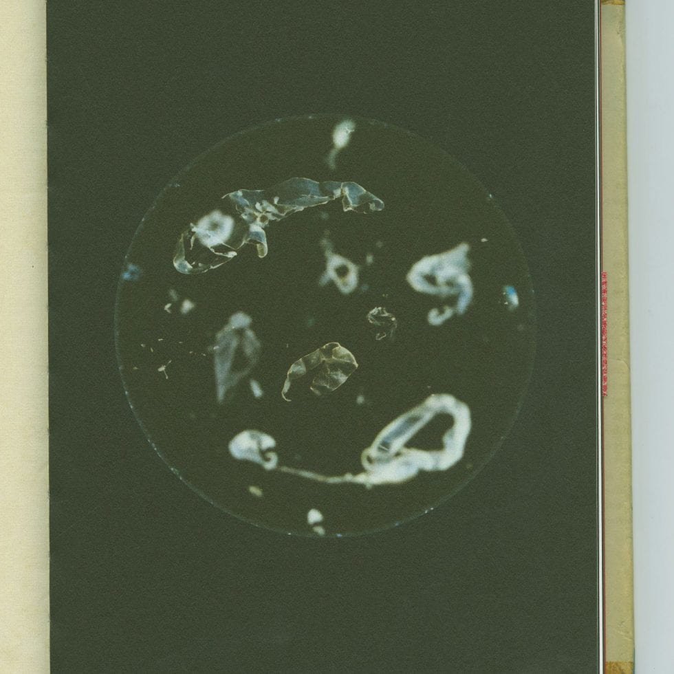 Image of microplastics from Beyond Drifting: Imperfectly Known Animals
