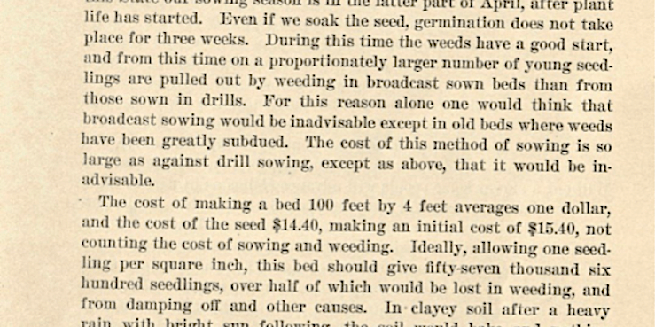Second page of Ralph E. Brock, Broadcast Sowing vs. Drill Planting